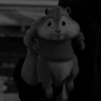 ���� ������������� Laylo �� ������ ������