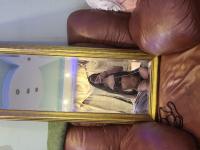 ���� ������������� Evelin �� ������ ������