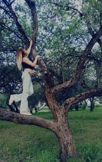 ���� ������������� ������ �� ������ ������