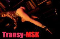 ���� ������������� TRANSSAMKA �� ������ ������