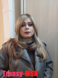 ���� ������������� �������� �� ������ ������