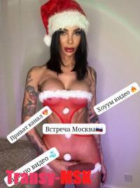 ���� ������������� Dina NEW �� ������ ������