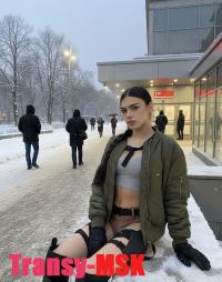 ���� ������������� ����������. �� ������ ������