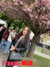 ���� ������������� ���� �� ������ ������