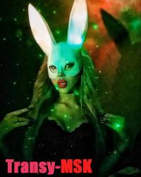 ���� ������������� �������� �� ������ ������