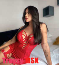 ���� ������������� ������ �� ������ ������