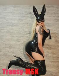 ���� ������������� �������� �� ������ ������